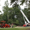 Bills Tree Service Inc gallery