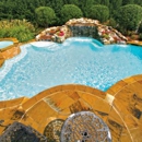 Blue Haven Pools & Spas - Swimming Pool Construction