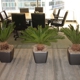 Woburn Office Plants