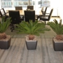 Woburn Office Plants