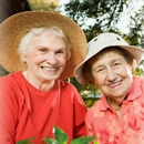 Seniors Helping Seniors - Senior Citizens Services & Organizations