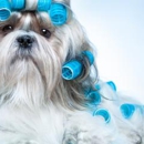 Livestock Coolers USA Inc - Pet Stores