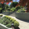 Coastal Evergreen Company gallery