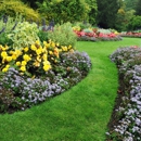 Shamrock's Landscaping & Lawn Care - Lawn Maintenance