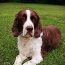 Amber's Pampered Pets - Pet Boarding & Kennels