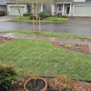 NOOSH Stump Removal & Landscape Restoration gallery