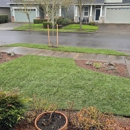 NOOSH Stump Removal & Landscape Restoration - Tree Service