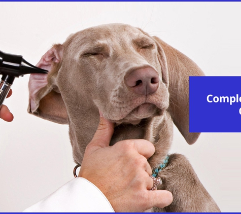 Edmonton Vet Clinic & Cattery - Bentley Park, QLD. Complete Animal Care