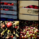 Hillcrest Orchards - Orchards