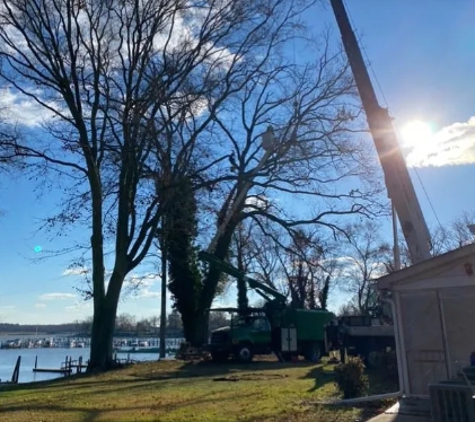 C & R Tree Service - Newark, DE