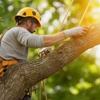 Boylan's Tree Service gallery