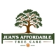 Juan's Affordable Tree Care