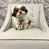 Furry Babies Inc gallery