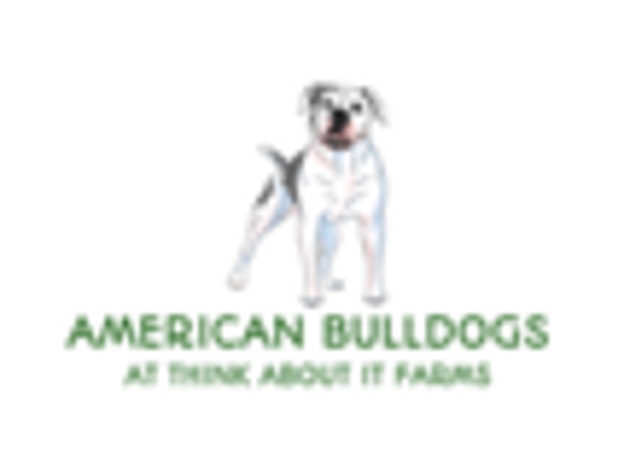 American Bulldogs at Think About It Farms - Tallahassee, FL