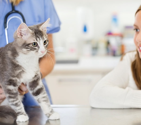 Alta Animal Hospital - Clovis, CA