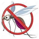 Mosquito Force + Pest Control - Pest Control Services