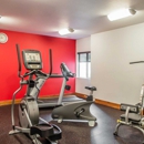 Quality Inn near Rocky Mountain National Park - Motels