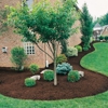 Quality Plus Lawn Care gallery
