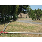 Gallery Image Number 6