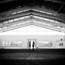 Denver Equestrians Riding School - Horse Training