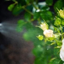 Maximum Pest Control - Pest Control Equipment & Supplies