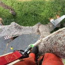 Daniel’s Tree & Landscaping Inc. - Firewood