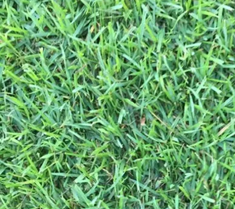 Lockyer Lawn Supplies - Spring Creek, QLD