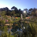 Tropical Adventure Mini Golf