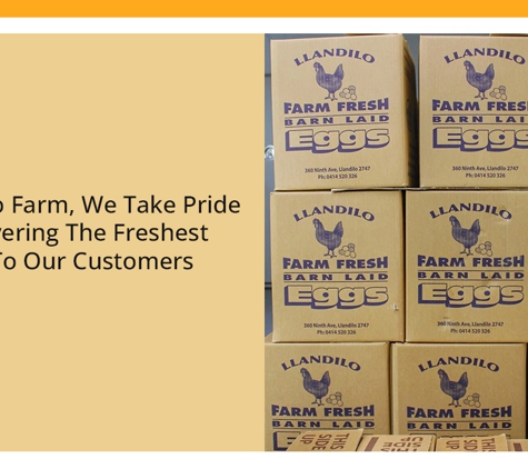 Llandilo Farm Fresh Eggs - Llandilo, NSW. At Llandilo Farm, We Take Pride In Delivering The Freshest Eggs To Our Customers