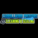 Carrollwood Pressure Cleaning and Sealing - Building Cleaning-Exterior
