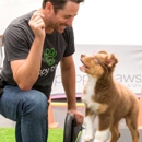 Puppy Paws Hotel & Spa - Dog Training
