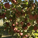 Awes Apple Orchard - Orchards