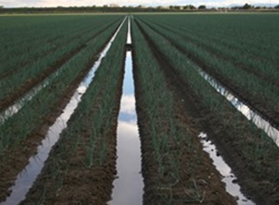 Peter Hennessy Consultancy & Commodity Trading - Dubbo, NSW