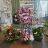 Daisy & Co. Floral Boutique gallery