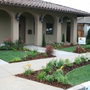 Amplified Perspectives - Landscape Designers & Consultants