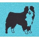 Professional Dog Training - Pet Training
