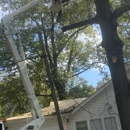 Mike Letson Tree Service - Tree Service