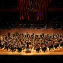 Symphony Art & Music - Musical Instruments