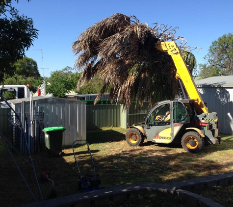 Steve McGrath's Tree Service - Parkes, NSW