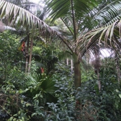 Gallery Image Number 6