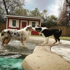 Houston Dog Ranch