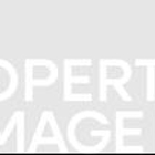 Property Damage Professionals