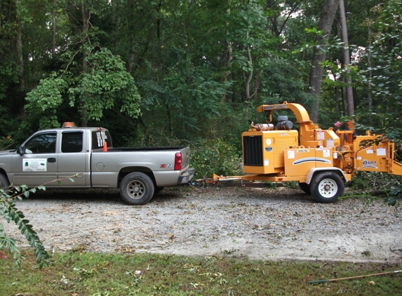 bobs local tree service - gainesville, GA