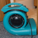 Sure Clean Carpet Cleaning - Upholstery Cleaners
