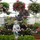 Charvet's Garden Center Inc