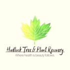 Hadlock Tree & Plant Recovery