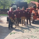 Su-Tree Service - Tree Service