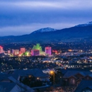 Insight Pest Solutions-Reno - Pest Control Services