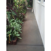 Gallery Image Number 6