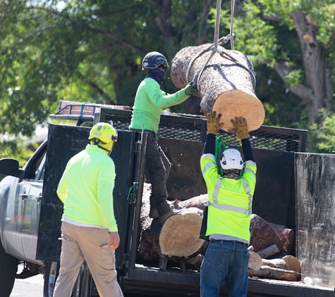 Valley Tree Care